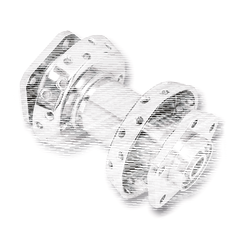 Rear wheel hub XL79-81 (FR)