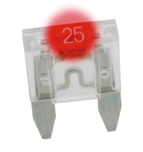 GZP 5pck Mini Led dtctr fuse Natural 25A (FR)