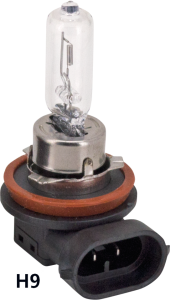 GZP 10Pck Hi beam bulb H9 12V 65W (FR)