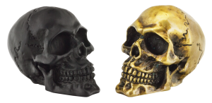 GZP Bronze fender mounted skull (FR)