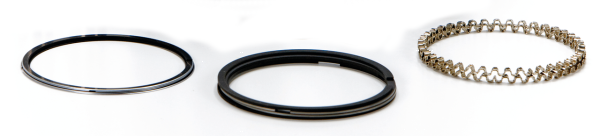 Pistonrings 1200 +030 Chr.Moly Hastings (FR)