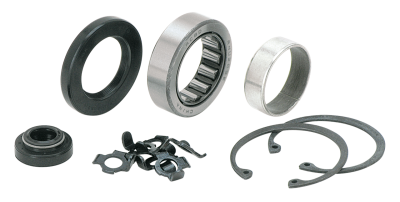 GZP Seal, bearing, bushing and lock tab