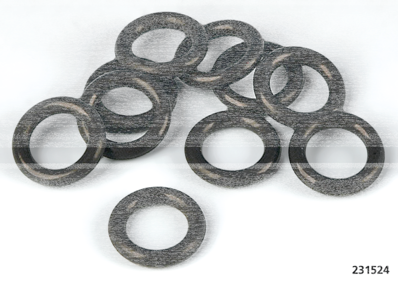 10pck O-ring OilPump TC99-17 #11301 (FR)