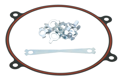 Inner prim. gasket & thrustwshrs BT84-06 (FR)