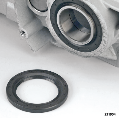 Oil Seal DriveGr Bearing FXD06-17 BT07+ (FR)
