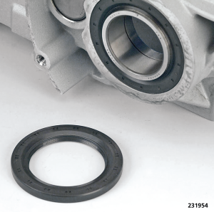 Oil Seal DriveGr Bearing FXD06-17 BT07+ (FR)