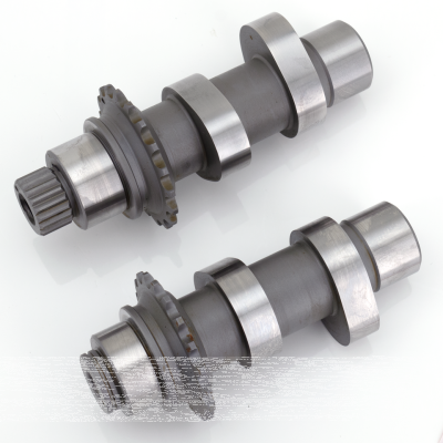 Camshafts 31H bolt-in FXD06 TC07-17 (FR)