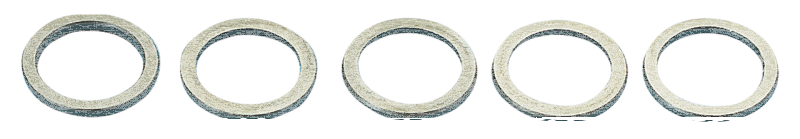 5pck Cam gear spacing washers .060 (FR)