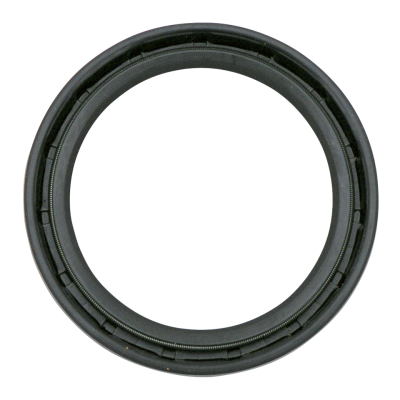Fork seal 42x55x8 (FR)