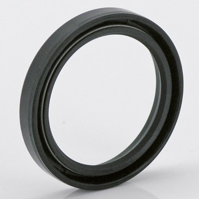 Fork seal 42x55x8 (FR)