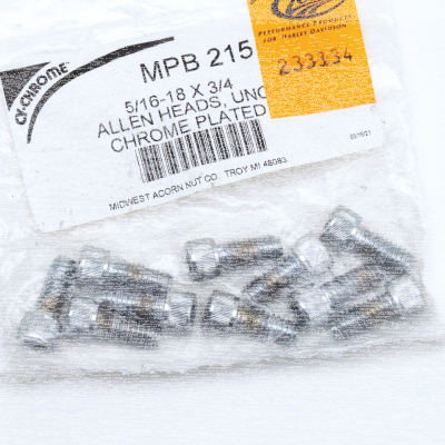 10pck Chrome allen screws 5/16-18x3/4 (FR)