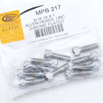 10pck Chrome allen screws 5/16-18x1 (FR)