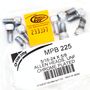 10pck Chrome allen screws 5/16-24x5/ (FR)
