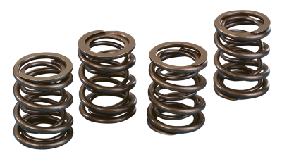 KPMI max.600" lift valve springs BT66-84 (FR)