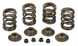 Racing valve spring kit BT78-84 steel rt (FR)