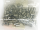 Rod roller set 18+36 BT41-72 STD (FR)