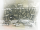 Rod roller set 16+32 BT87-96 +.0006 (FR)