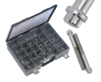 Assortm. tray of 12 point bolts,24 sizes (FR)