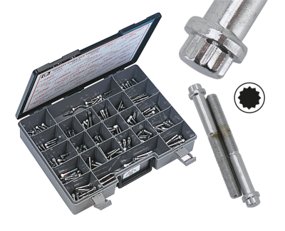 Assortm. tray of 12 point bolts,24 sizes (FR)