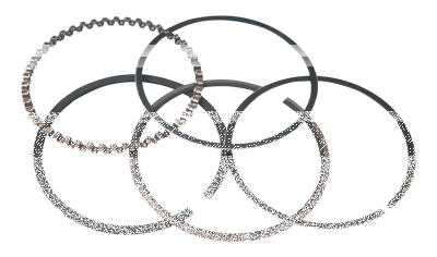 Wiseco Piston rings 883/1200 EVO 3.544" (FR)