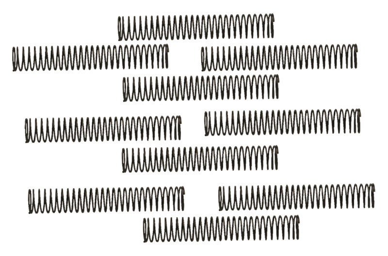 10pck S&S Check valve spring (FR)