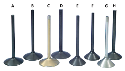 Black Diamond blank intake valve 2.000" (FR)