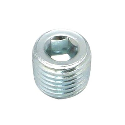 S&S Socket head plug, 1/4" NPT (FR)
