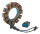 Accel 38 Amp stator FXD99-03 F*ST00