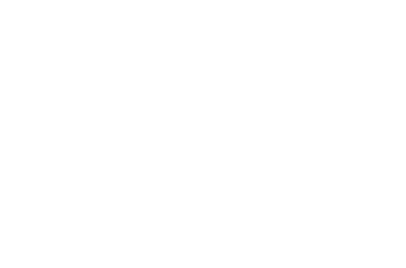 Tappet assembly, all sidevalves (FR)