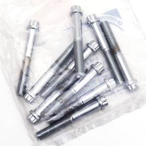 10pck 12-point screw 5/16-24x2 1/4", UNF (FR)