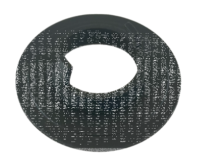 Ring, bearing seal, WL/Servicar (FR)