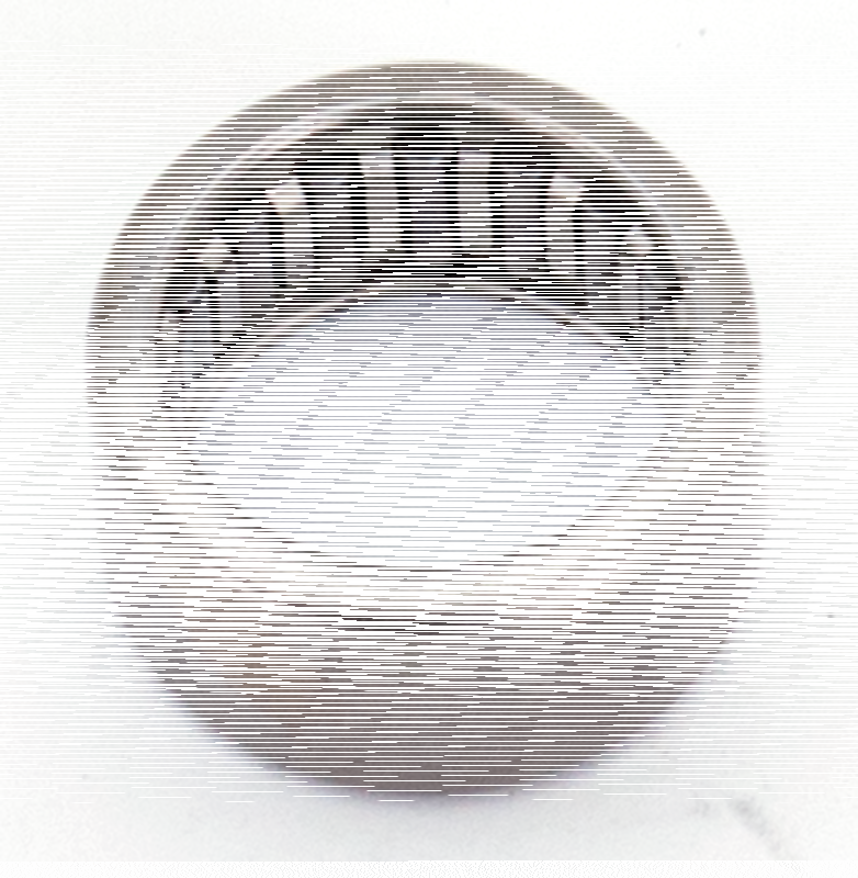 Needle bearing shift drum support L/H (FR)