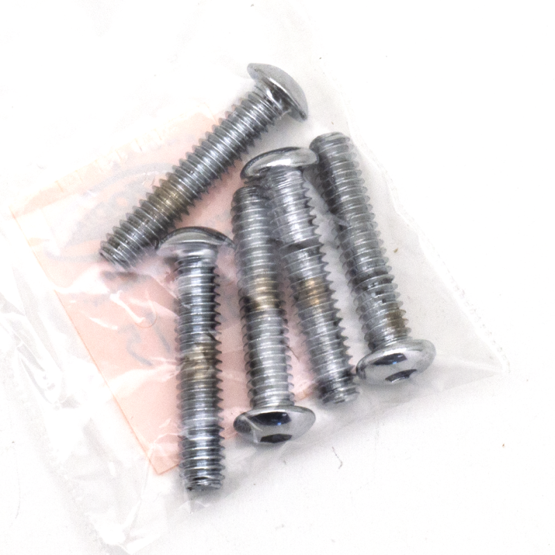 5pck Button head screws 1/4-20x1 1/4" (FR)
