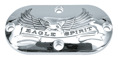GZP Eagle Spirit primary inspection cove (FR)