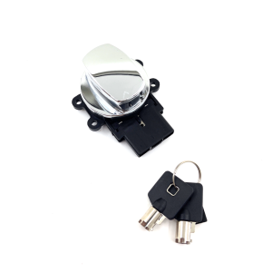 GZP Chr Ign.swtch #71313-96A (FR)