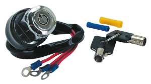 GZP Ign switch rnd key 2 pos #71428-90 (FR)