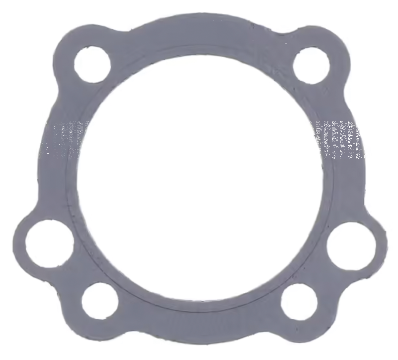 5pck Graphite cyl. head gasket EVO (FR)