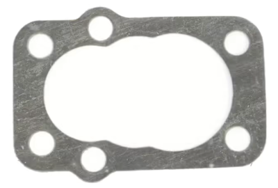 10pck scavenger pump gasket Flathead (FR)