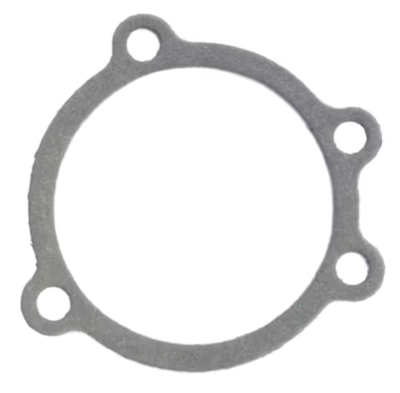 10pck CARBUR. AIR CLEANER FLT/FXR (FR)