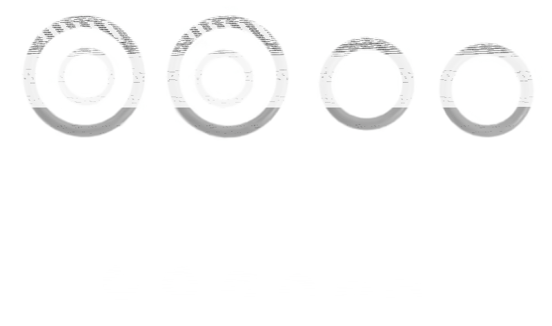 Fork oil seal set air-control (FR)