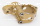 HyperPro Frame Clamp Gold 1-1/8" (FR)