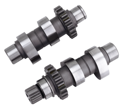 Camshafts TW21 bolt-in TC99-06 ex FXD06 (FR)