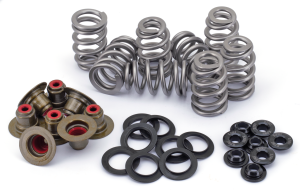 ME17-Up Beehive Hi-Lift Valve Spring Kit (FR)