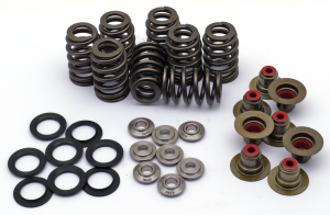 ME17-up Beehive Valve Spring Kit Titan R (FR)
