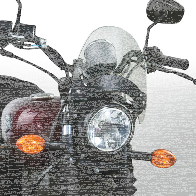 NC Flyscreen Light w/ Black HW 44-51mm (FR)