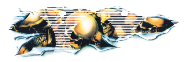 Shred Skull Long 2.761X8.094 (FR)