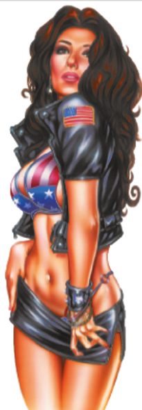 MISS USA  3"X10" (FR)