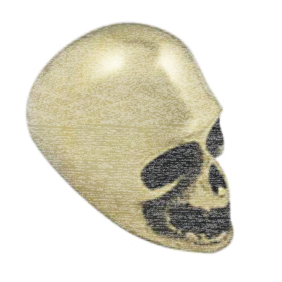 Brass Skull Hand Shifter Knob 3/8" Threa (FR)