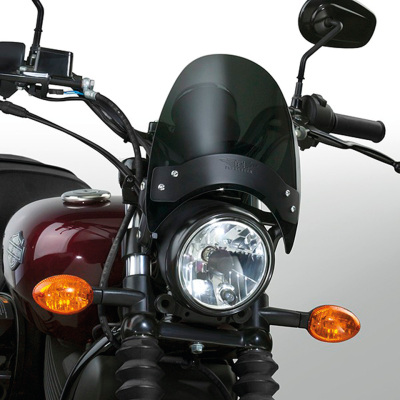 NC Flyscreen Dark Tint/Black Hardware (FR)