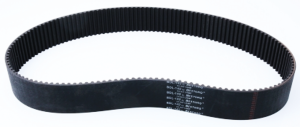 BDL replacement belt 142Tx2"x8mm (FR)